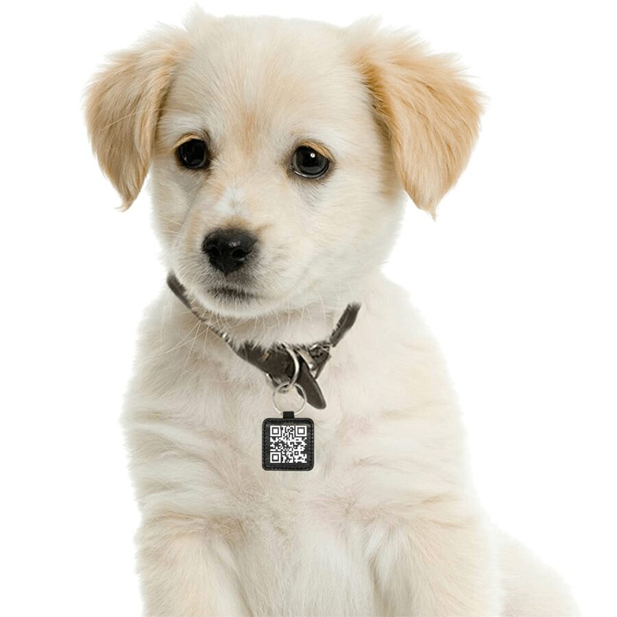 Square Pet ID Tag - Image 3