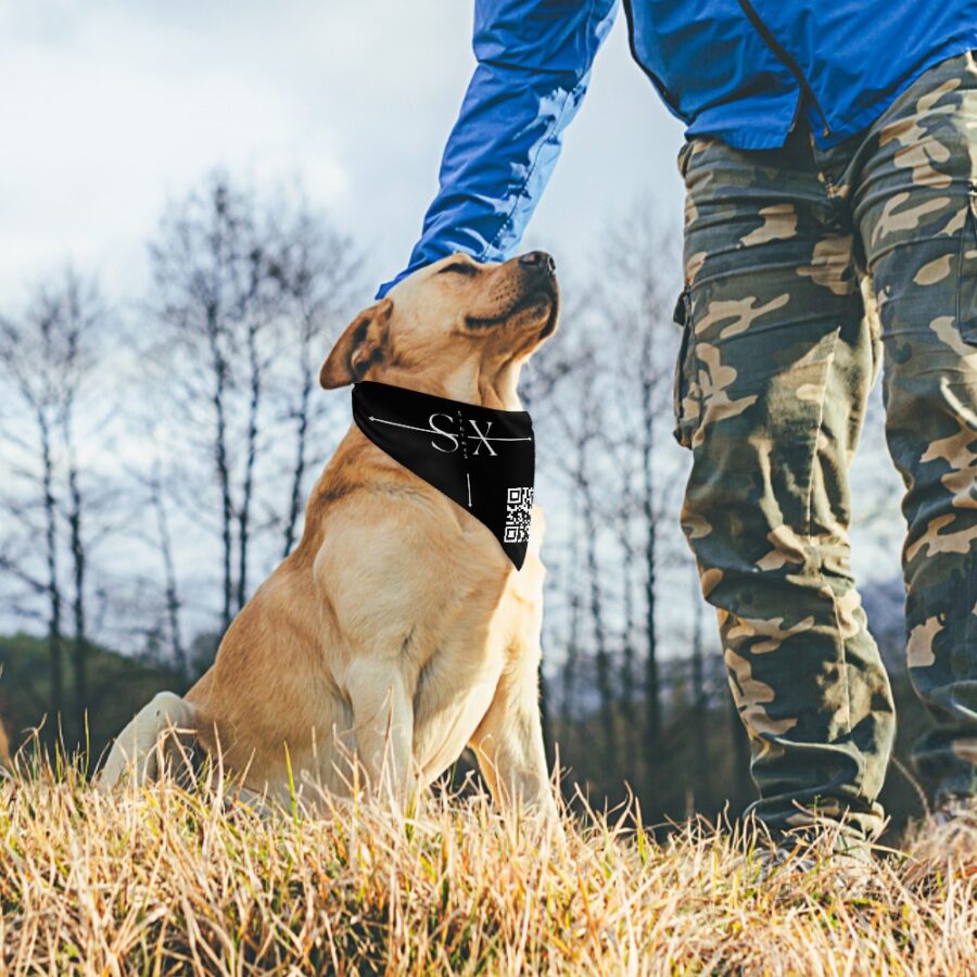 Pet Scarf - Image 5