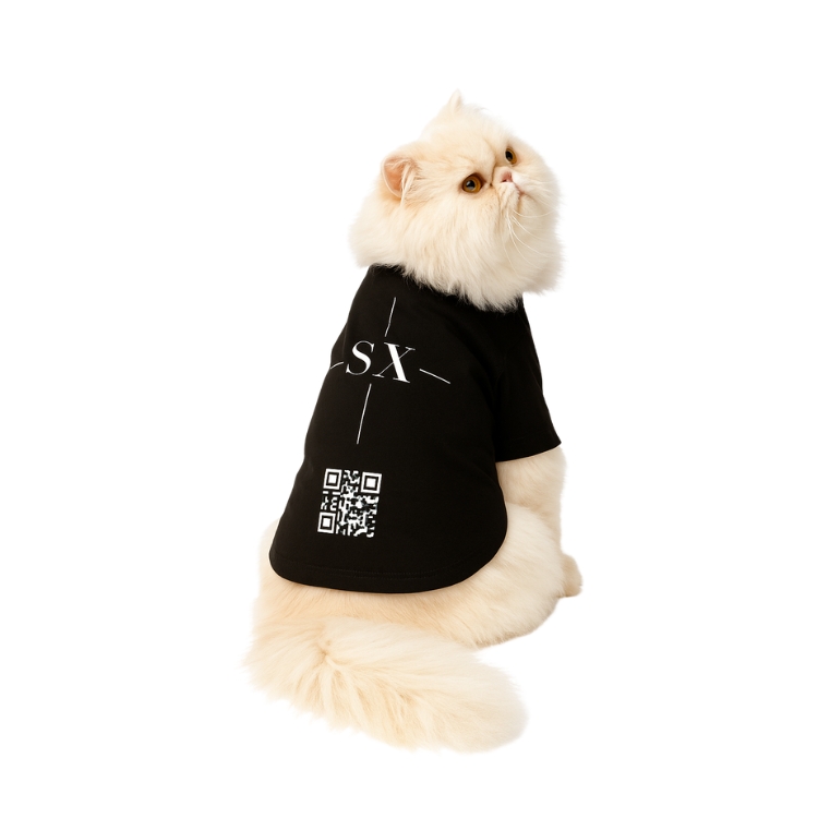 cat the cat